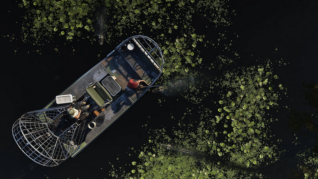 GTA VI